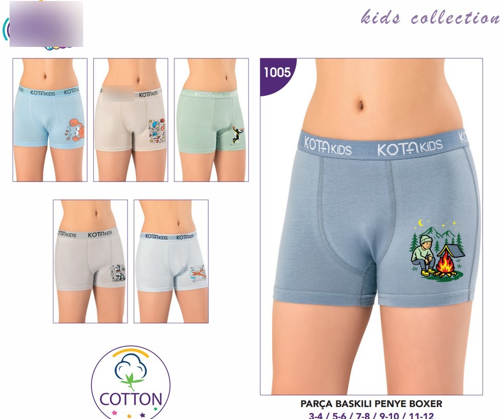Erkek Çocuk Parça Baskılı Penye Boxer