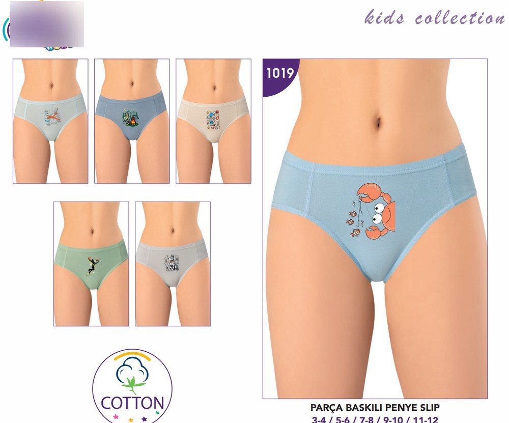 Erkek Çocuk Parça Baskılı Penye Slip